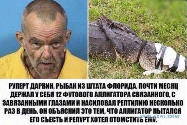 Наглядная разница менталитетов
