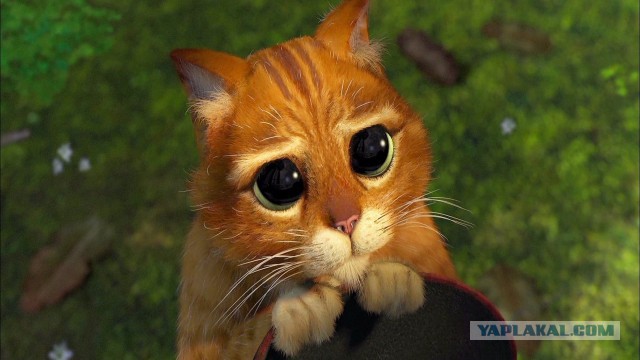 Эти глаза напротив. Калейдоскоп.