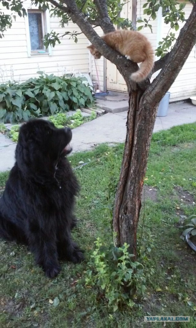 Четверг!