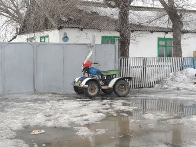 Подборка безудержного веселья