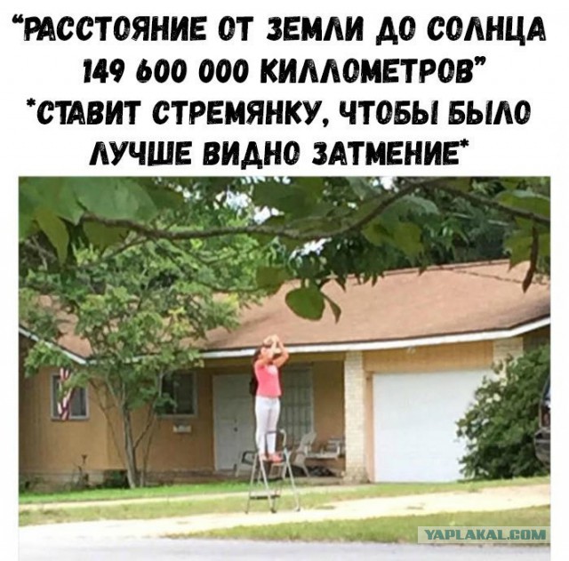 Картинки из вк