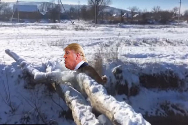 Фотожаба "Профиль Трампа"