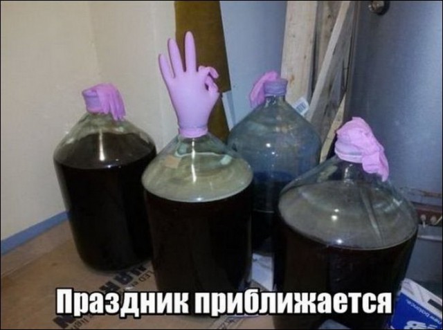 Смешные комментарии и картинки на новогоднюю и околоновогоднюю тематику. Часть 2