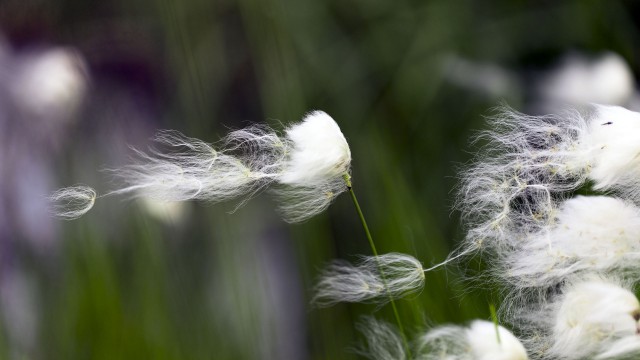 Просто Природа