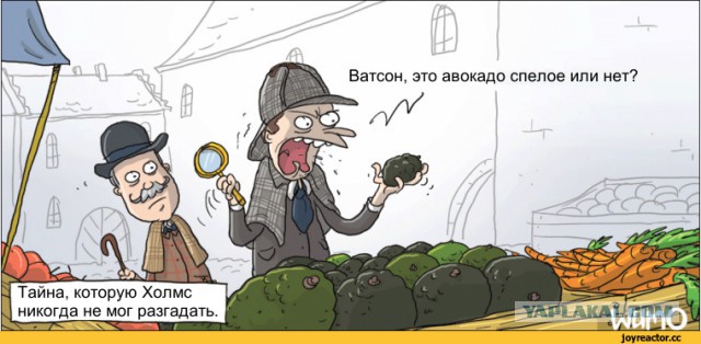 13 комиксов о влюбленной парочке, которая на своем примере доказала, что отпуск — это то еще веселье