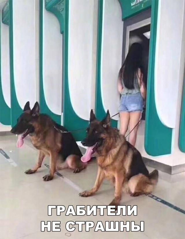 Нестандартный юмор