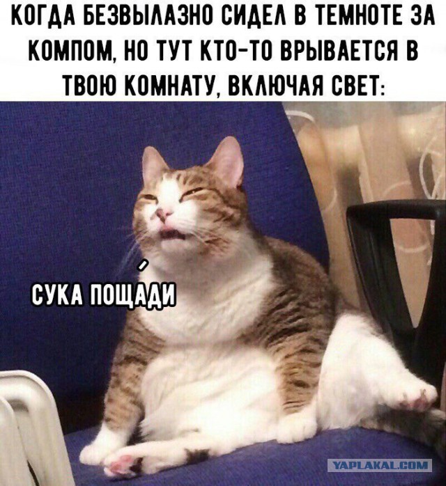 Разные по свежести картинки