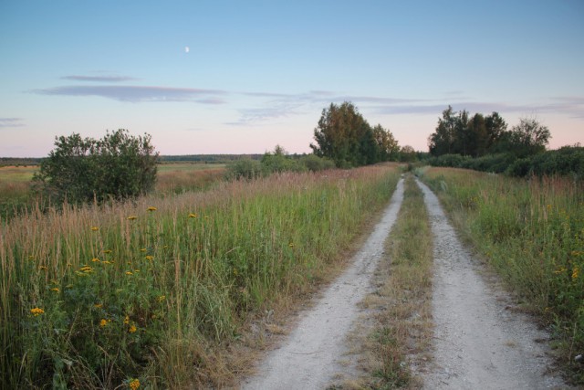 Красота сельских дорог