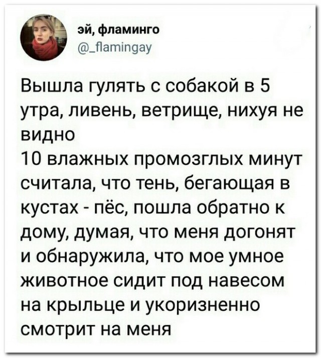 Немного юмора из этих ваших соцсетей