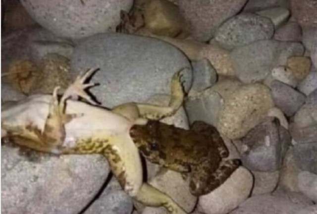 Мое отношение к жене вдруг поменялось