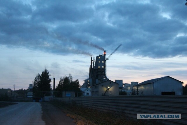Заброшенные деревни Костромской области. Совега