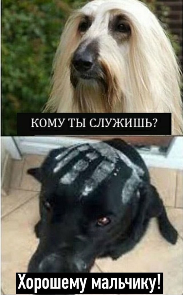 Бредзона 15.11.19
