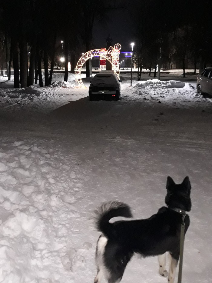 Здравствуй, *опа Новый год...