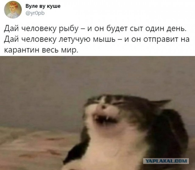 Бредзона 20.03.2020
