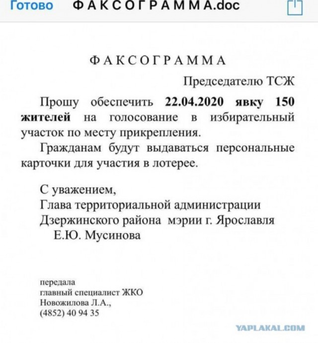 Украина стала главным покупателем российской свинины