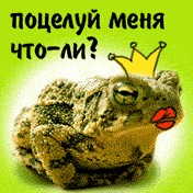 Жабы на ЯПлакалъ