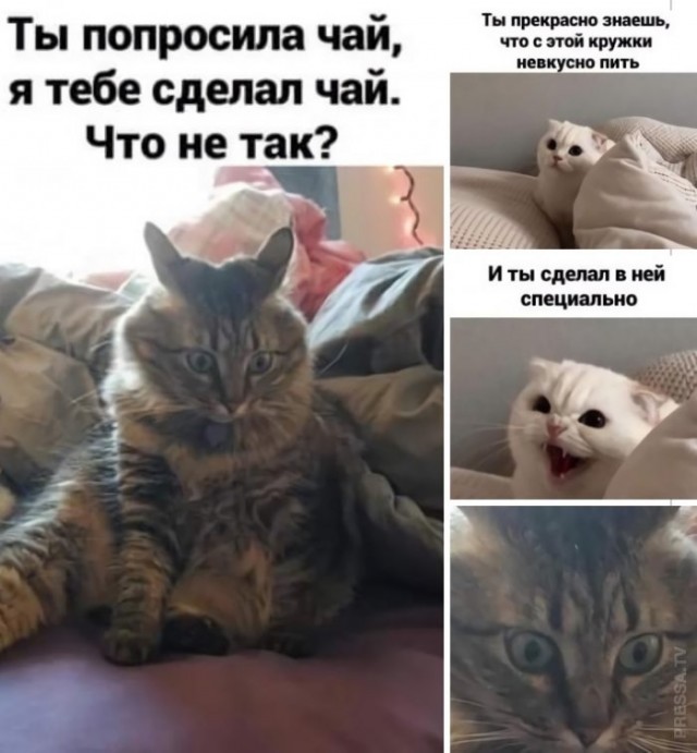 Картинки и мемы для настроения 029