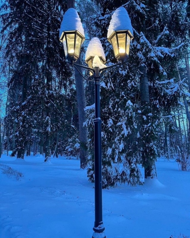 Дмитрий Медведев опубликовал в Instagram фото фонарей. На вопросы про поддержку Навального не отвечает