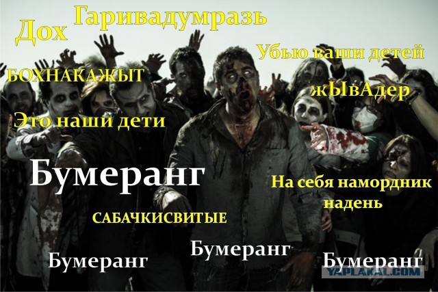 Нападение собаки