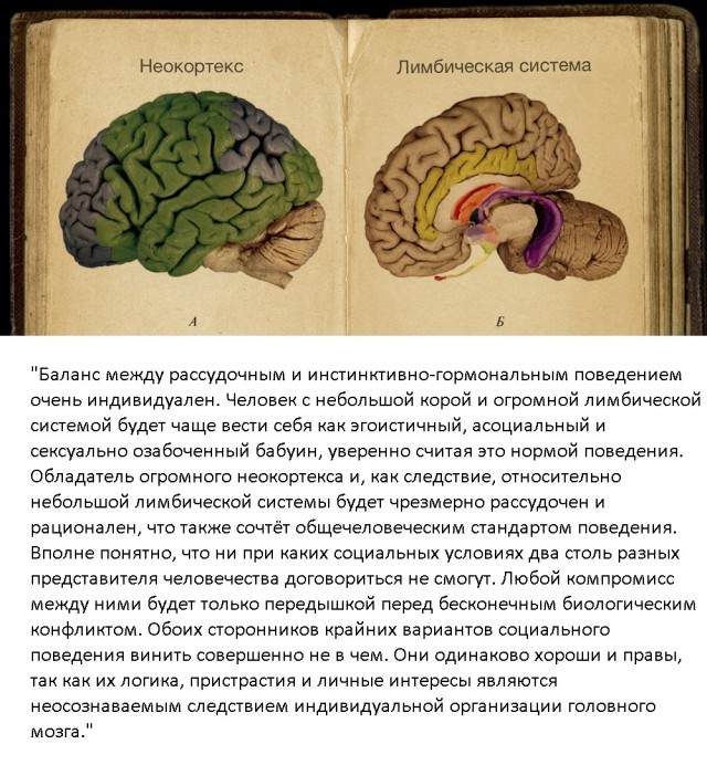 Литовцы в шоке: мигранты мочатся и испражняются в выданные им термосы