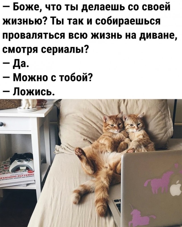 Так себе картинки 30.08.21