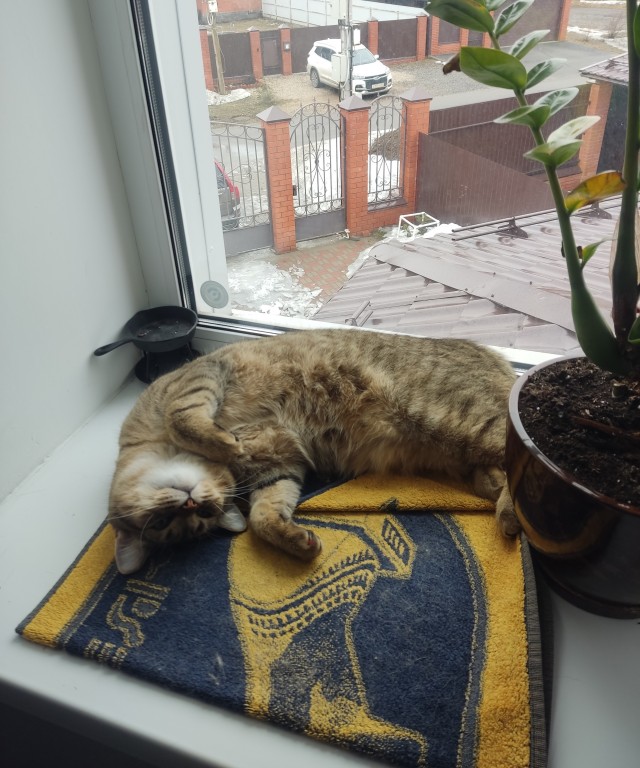 Весёлые картинки 13.04.2022