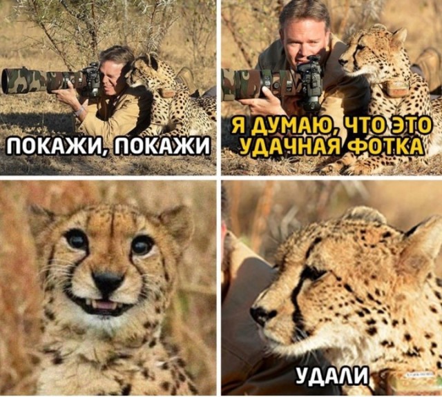 Картинки 20.05.22.