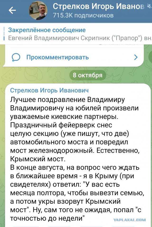 Володя