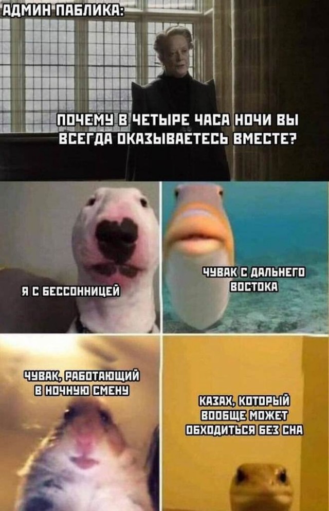 Немного картинок для настроения - 114