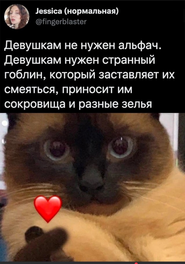 Некоторые бабы кончают