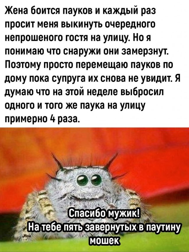 Так себе картинки 04.02.23