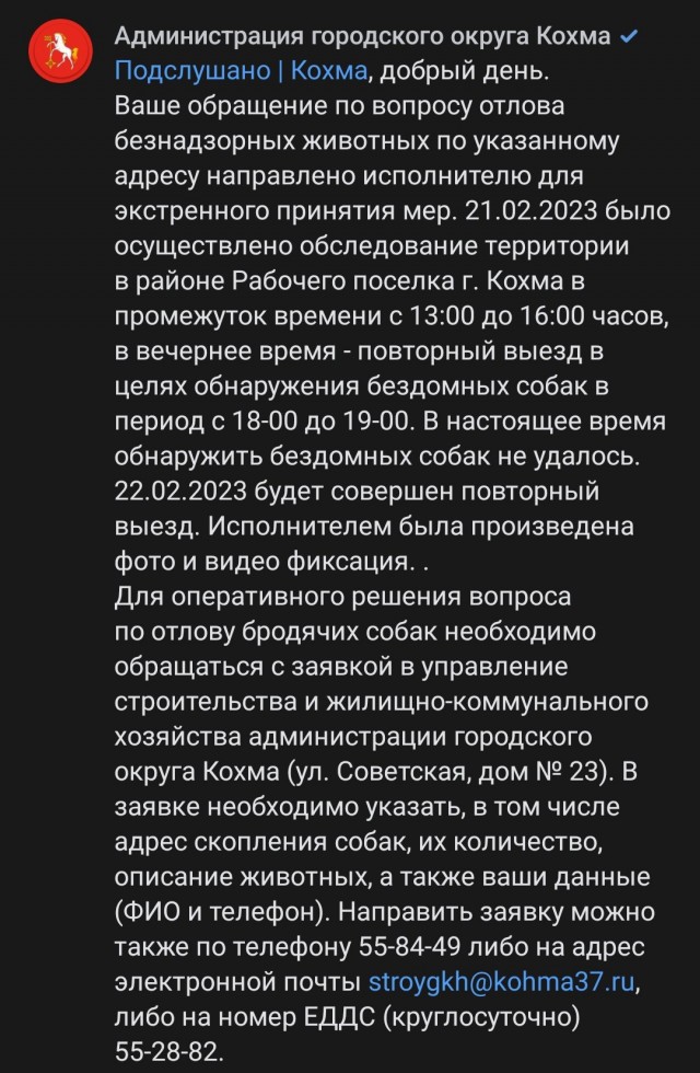 В г.Иваново бродячие собаки напали на детей
