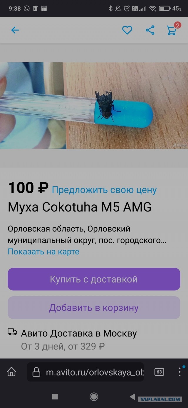 В Москве мужик выставил объявление, в котором бесплатной отдавал кимоно только русским детям для занятий спортом.