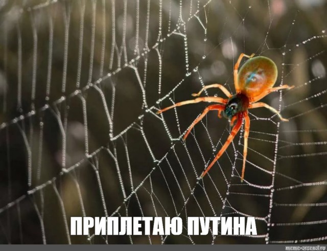 Александр Лукашенко прилетел в Иран