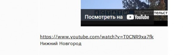 Ардатовские чиновники, отобравшие елку у бабушки извинились, а одного из них уволили