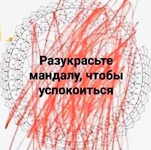 Всего понемногу. От 29.01.24