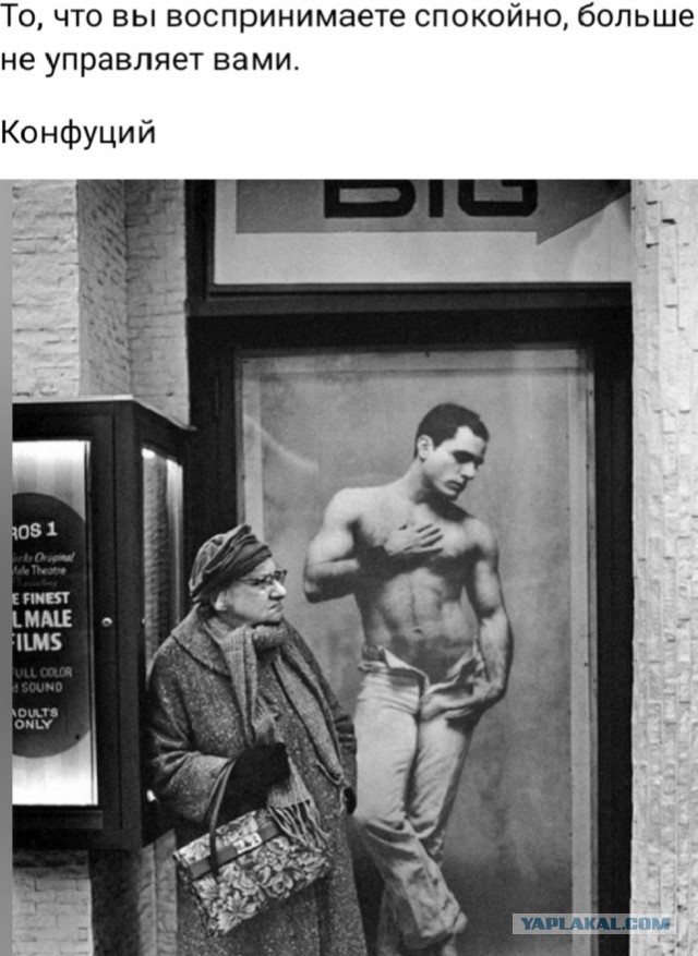 А может ли молодая женщина месяцами обходится без секса?