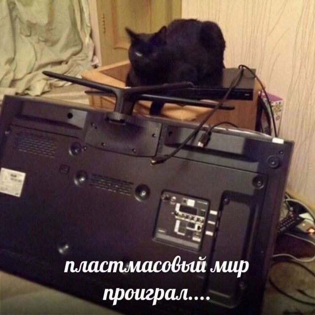 Нуштош 20.06.2024