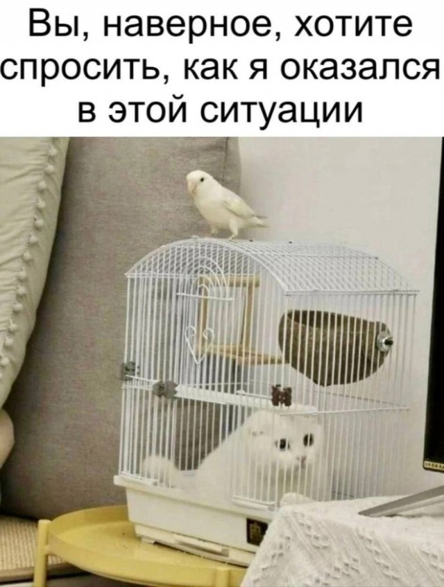 Завалялось тут случайно немного забавных картинок