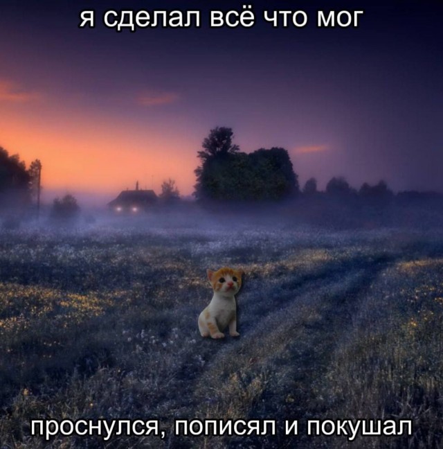 Давайте опубликуем