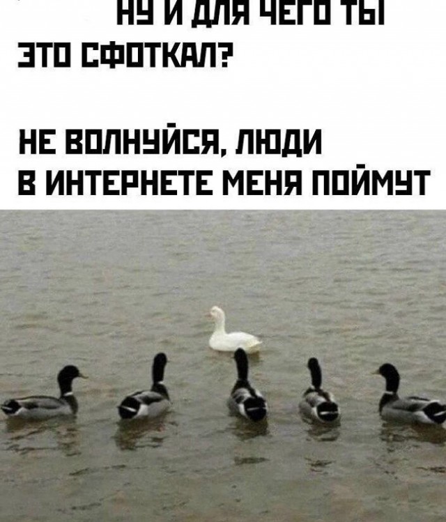 Картинки разные с надписями и без