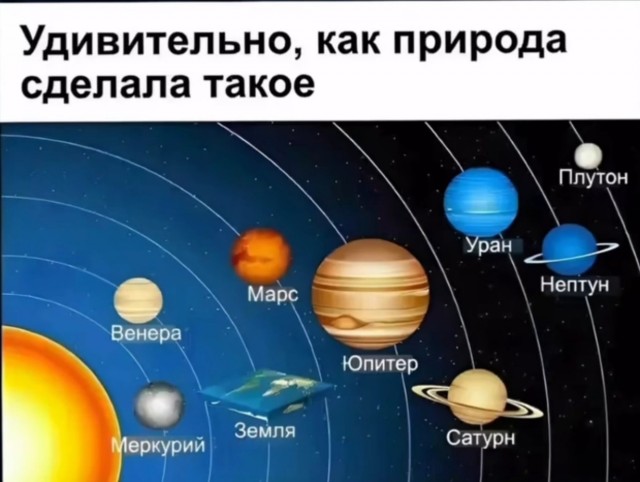 Удивительное в природе