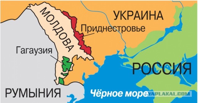 Власти Молдавии задержали главу Гагаузии Евгению Гуцул