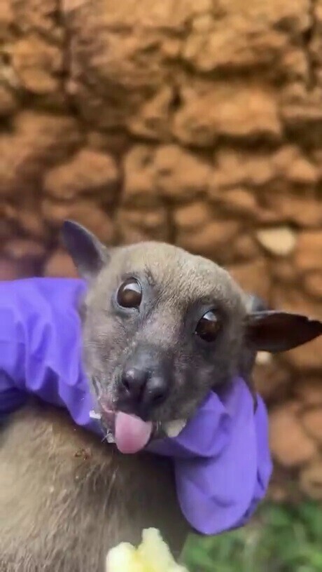 Хобби такое