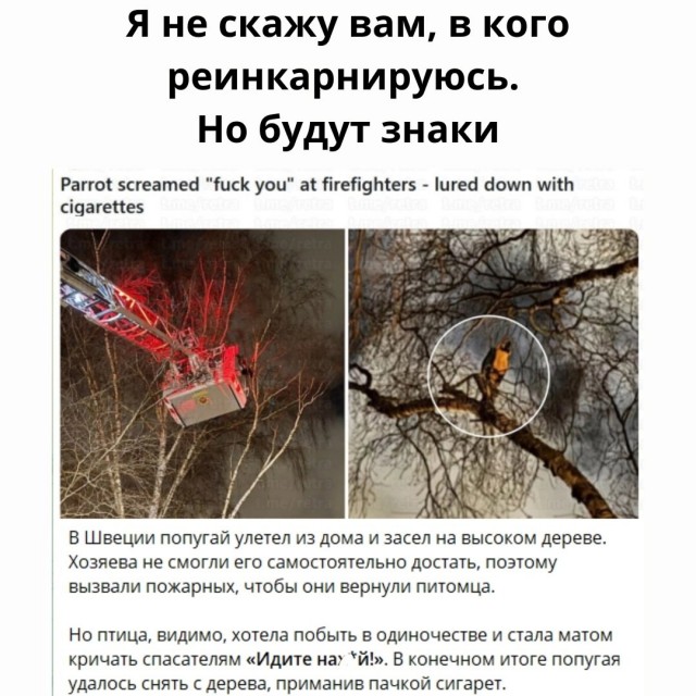 Так себе картинки 03.05.25