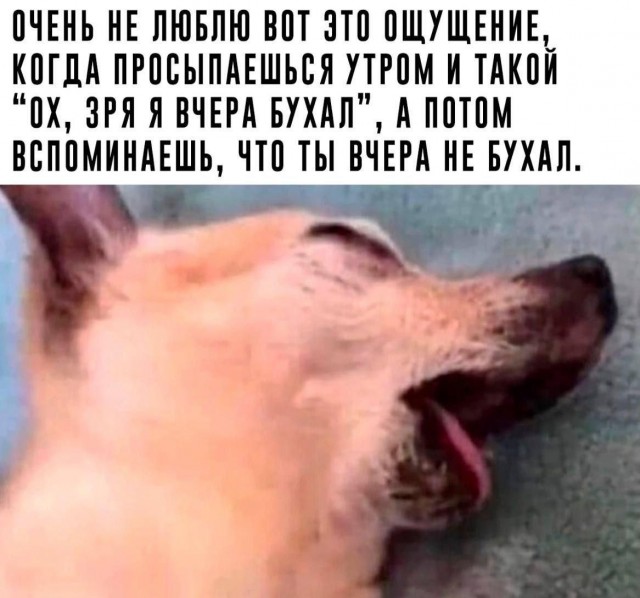 Подборка мемчиков за пол дня