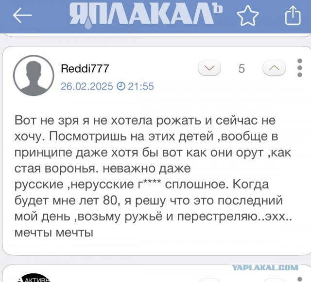 Дума подготовила запрет кормить животных возле многоквартирных домов