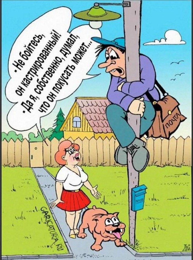 Веселые картинки в пятницу (19.09)