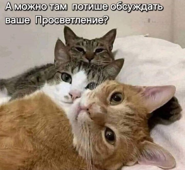 Картинки для деградации 51 (разной степени свежести)