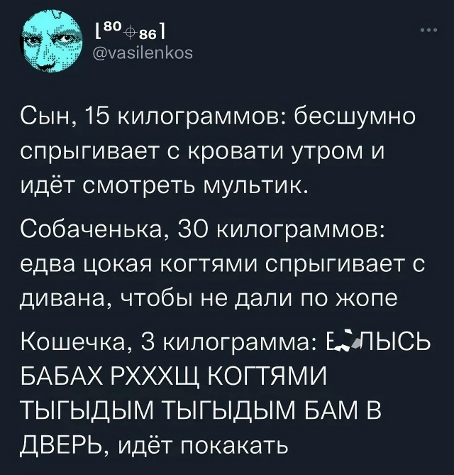 Так себе картинки 10.11.25